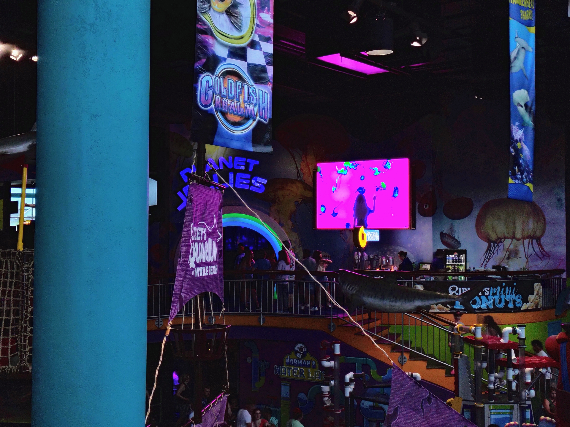 Ripley's Aquarium Myrtle Beach — P0.9 COB Ultra-Fine Pitch Displays — view 2